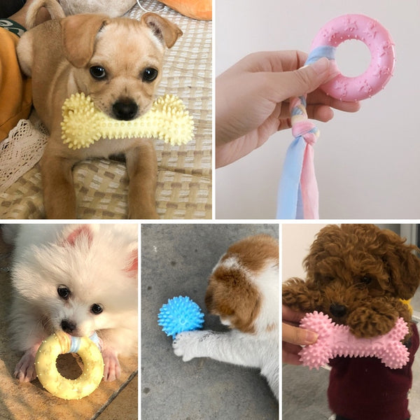 Dog Chew Toys