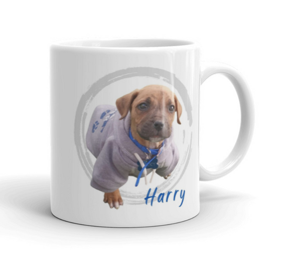 Custom Your Pet on a MUG