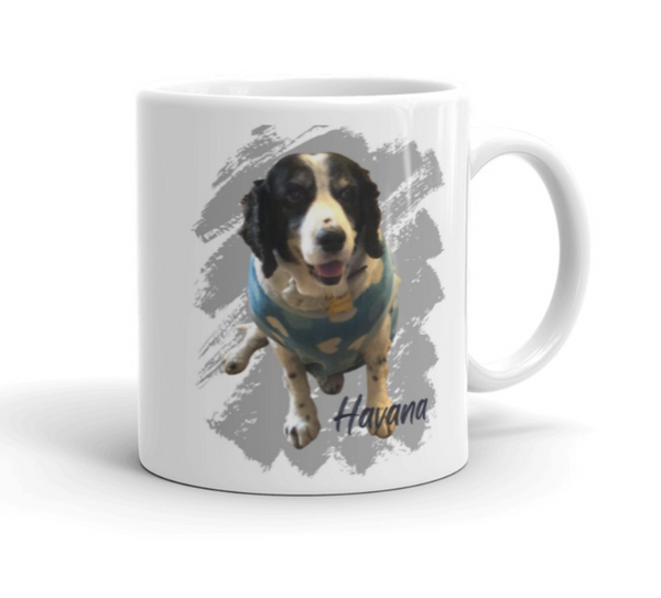 Custom Your Pet on a MUG