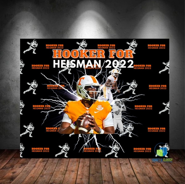 Custom Backdrop or Panel (Digital Design)