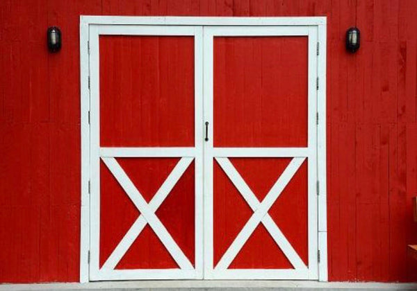 Red Door Backdrop