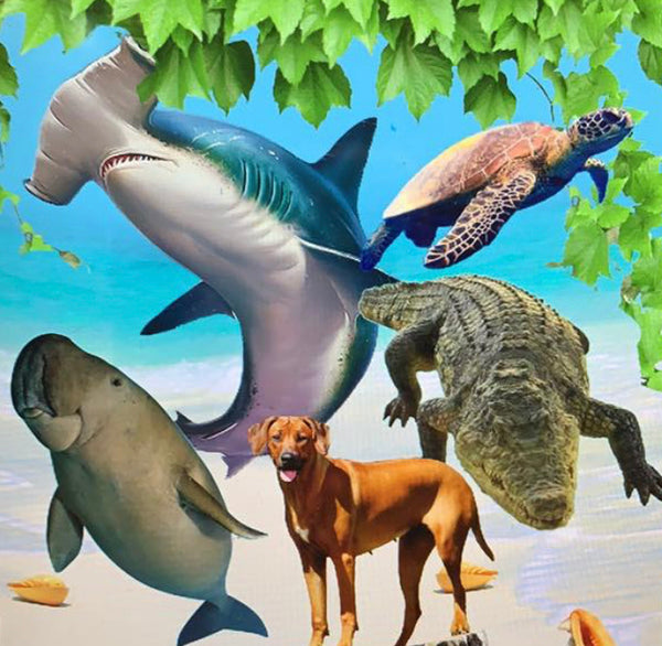 Customized Backdrop (Material: Polyester) Shakira - AUS