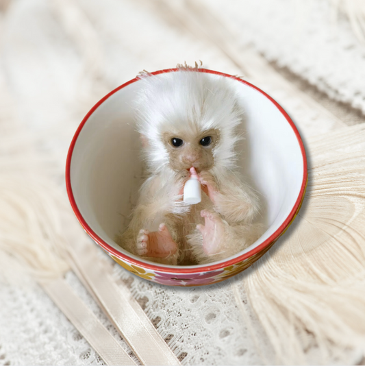 Silicone Monkey - Colour White