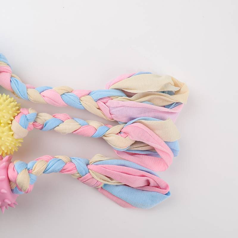 Dog Chew Toys