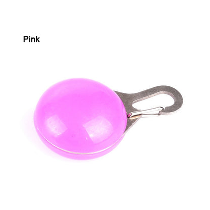 Dog Collar Glowing