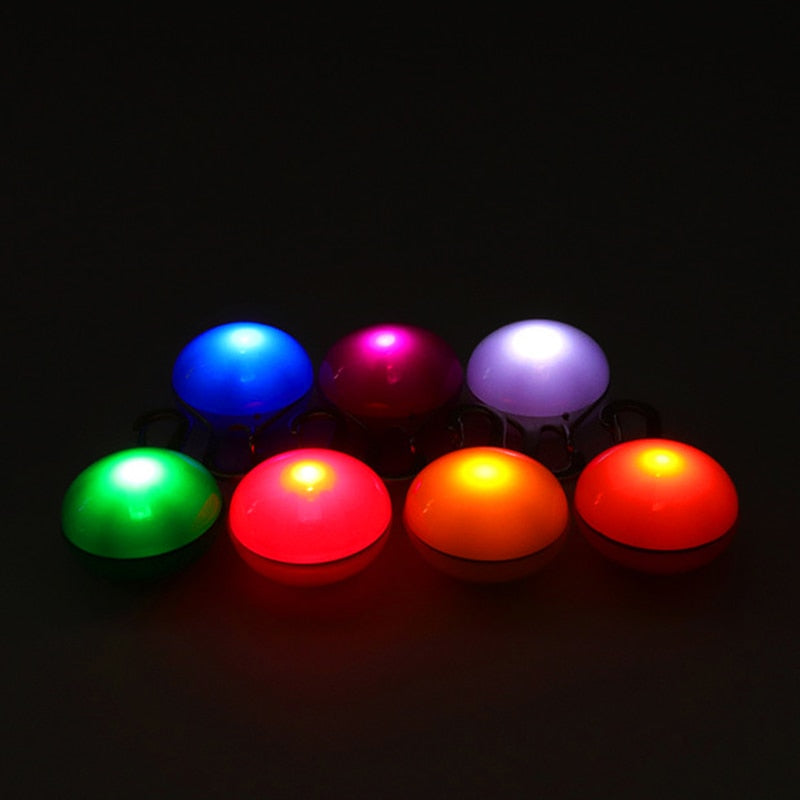 Dog Collar Glowing