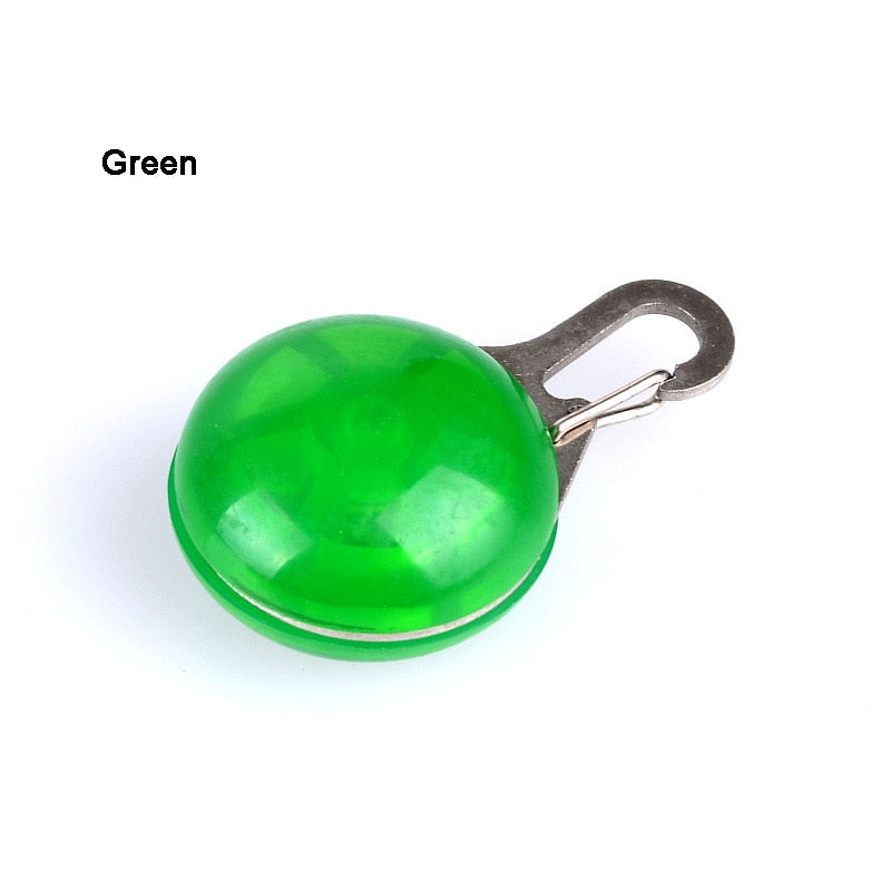 Dog Collar Glowing