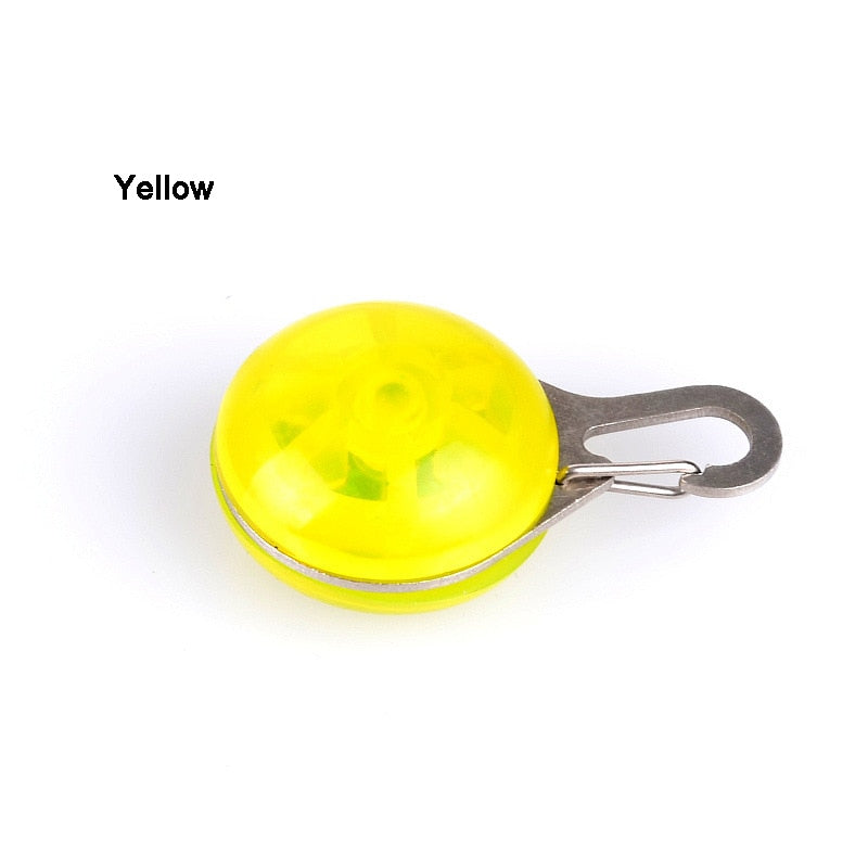 Dog Collar Glowing