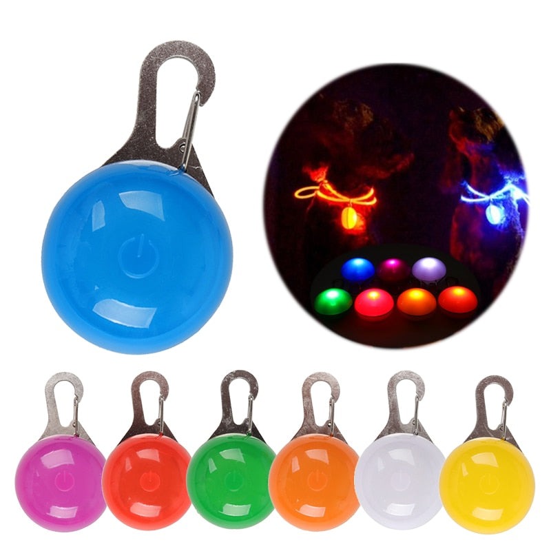 Dog Collar Glowing