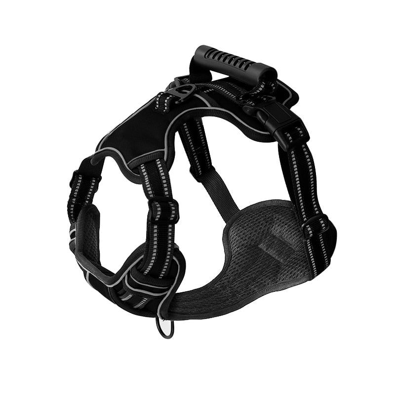 Dog Harness