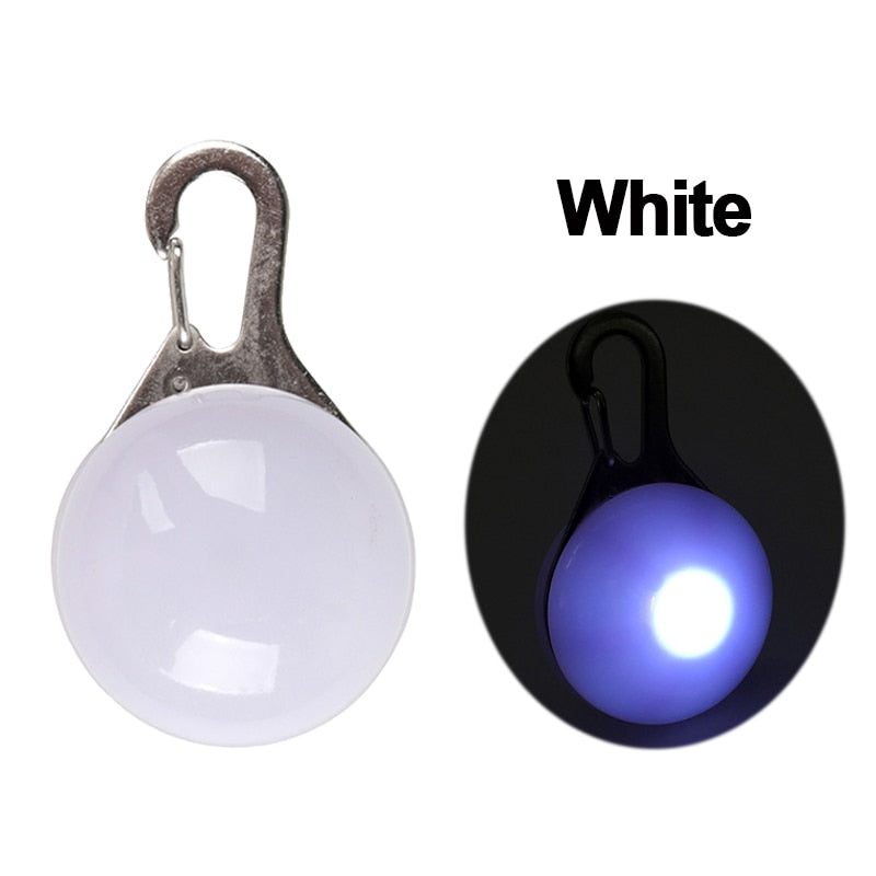 Dog Collar Glowing