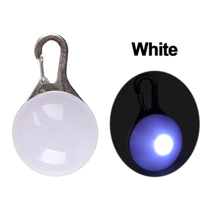 Dog Collar Glowing