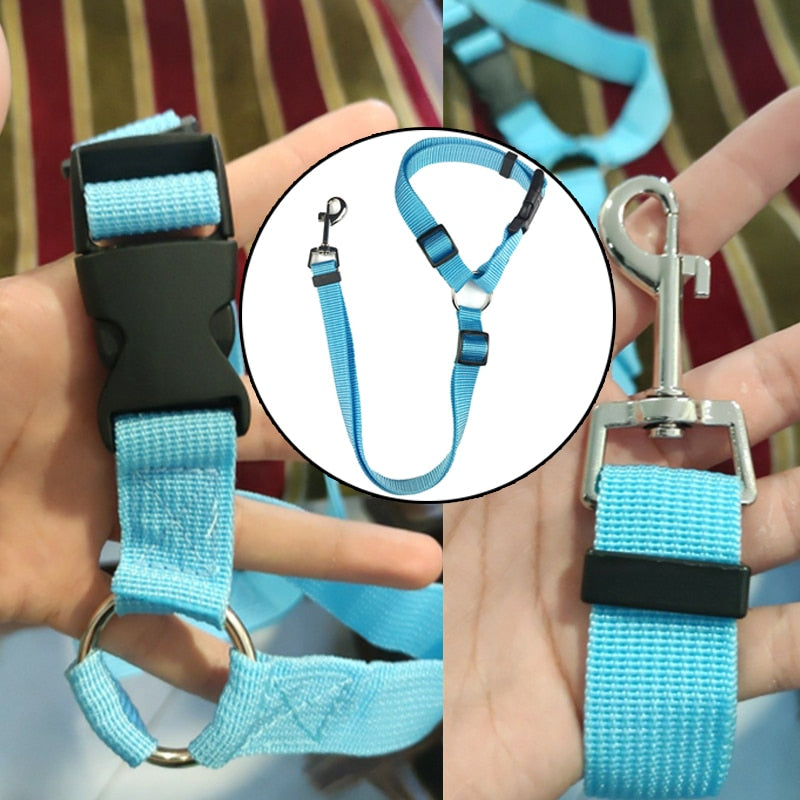 Pet Car Seat Belt - Two-in-one