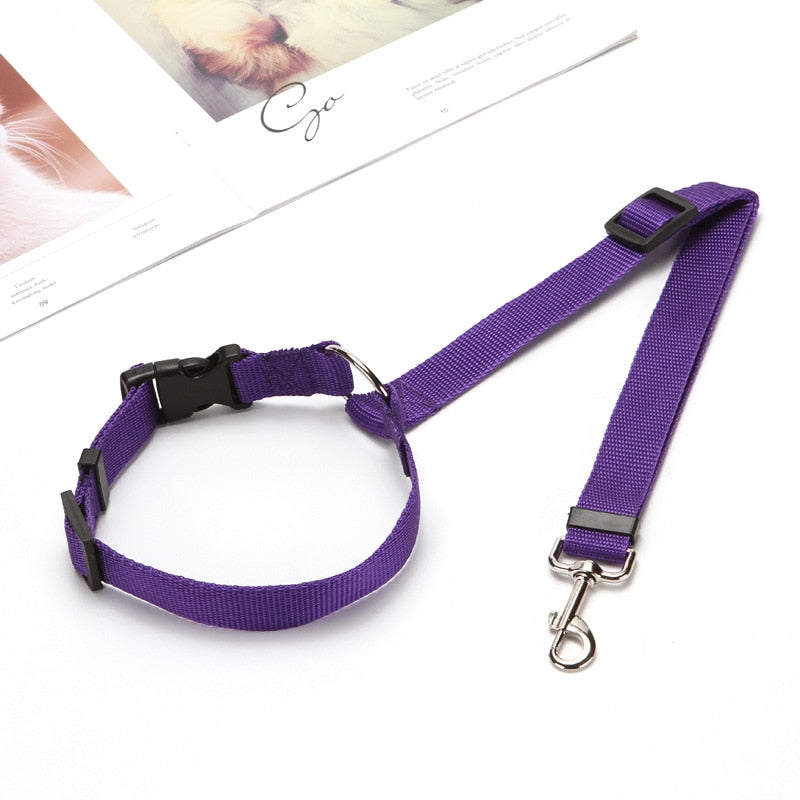Pet Car Seat Belt - Two-in-one