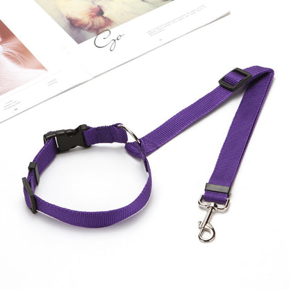 Pet Car Seat Belt - Two-in-one