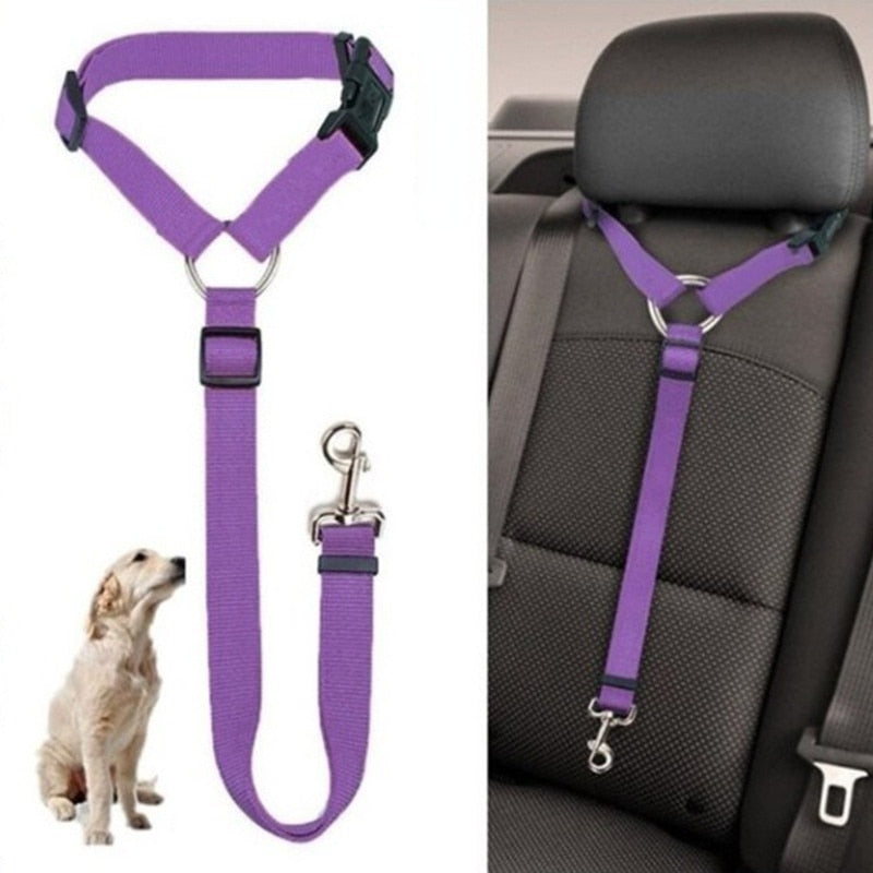 Pet Car Seat Belt - Two-in-one