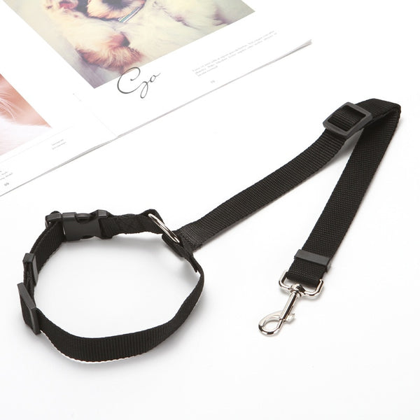 Pet Car Seat Belt - Two-in-one