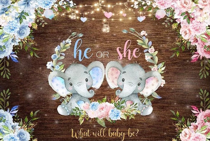 Gender Reveal - Elephant Backdrop (Material: Vinyl)
