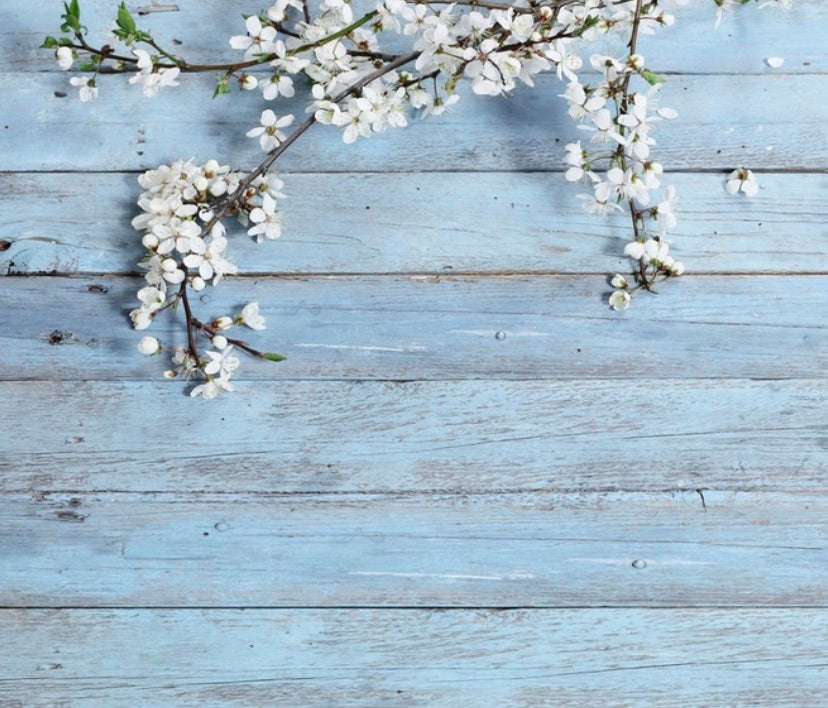 Wood in Blue Backdrop