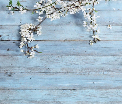 Wood in Blue Backdrop
