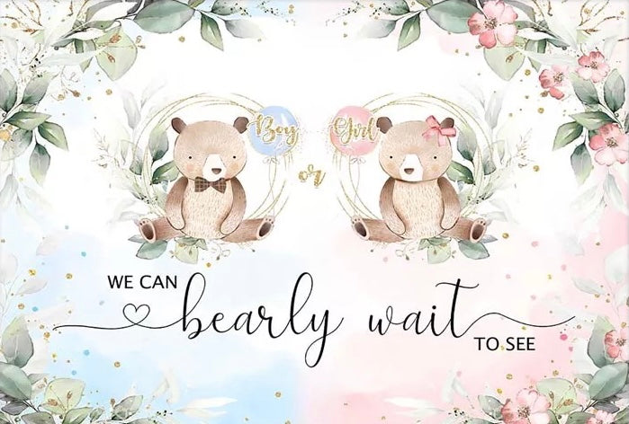 Gender Reveal - TeddyBears Backdrop (Material: Vinyl)