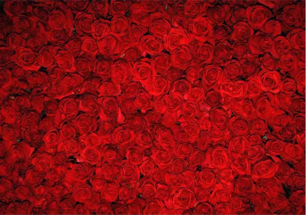 Red Roses Backdrop (Material: Vinyl)