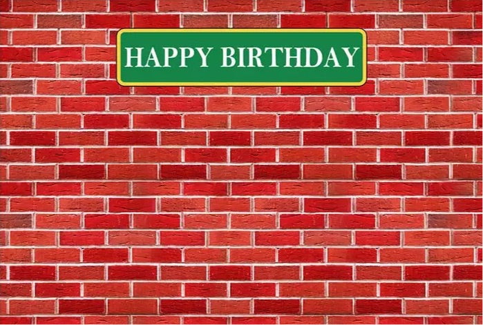 Brick Backdrop (Material: Vinyl)
