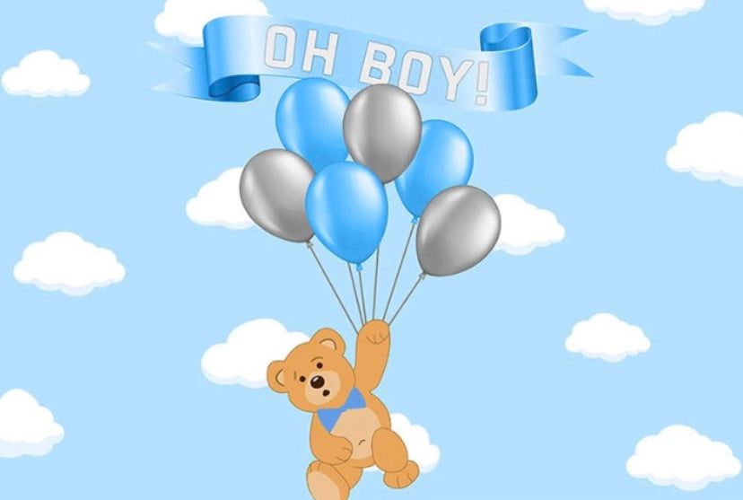 Teddy Bear Backdrop (Material: Vinyl)