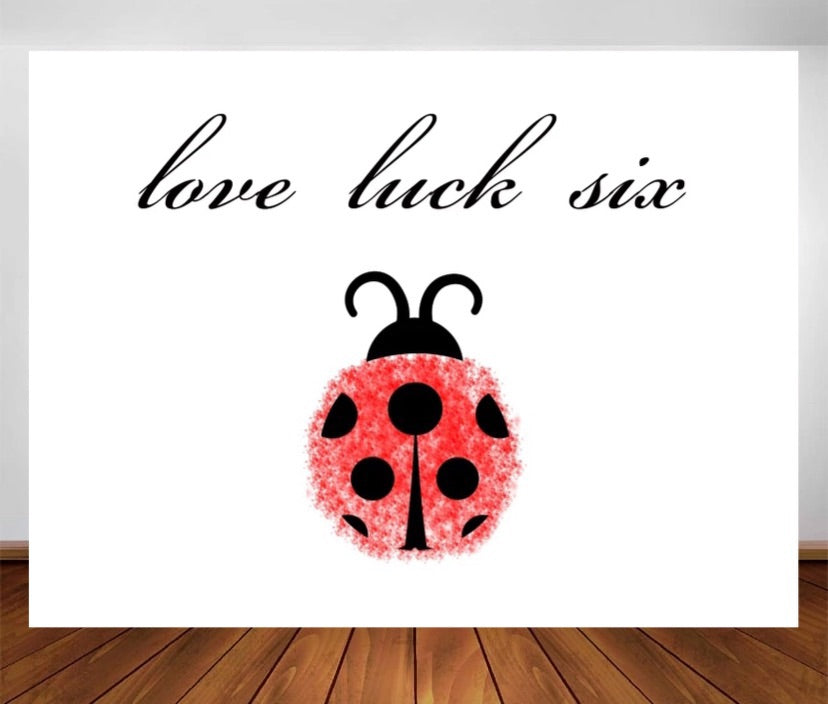 Sweet Ladybug Backdrop