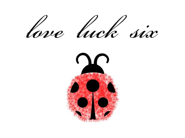 Sweet Ladybug Backdrop