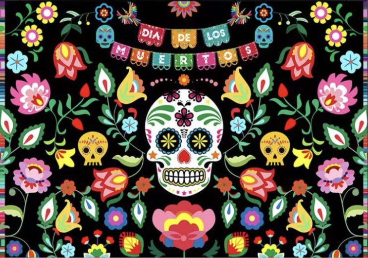 Mexican Celebration Backdrop (Material: Vinyl)