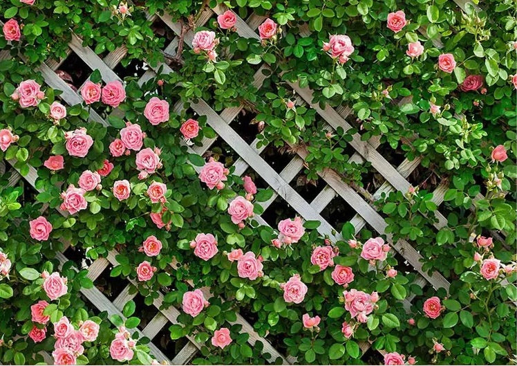 Flowers Custom Backdrop (Material: Vinyl)